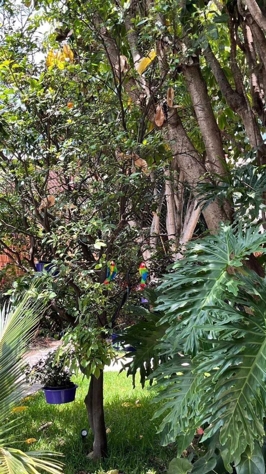 Casa Calnacazco Daire Tepoztlán Dış mekan fotoğraf