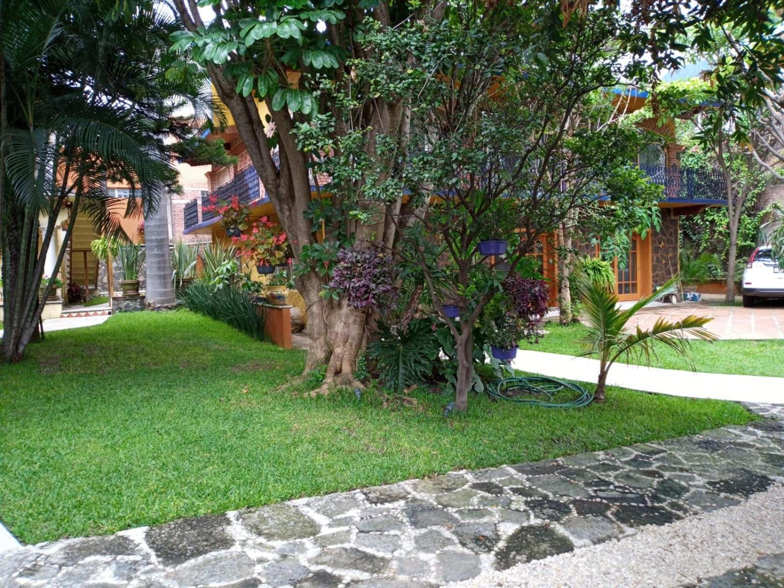Casa Calnacazco Daire Tepoztlán Dış mekan fotoğraf