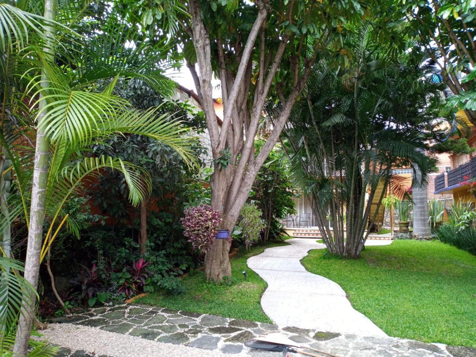 Casa Calnacazco Daire Tepoztlán Dış mekan fotoğraf