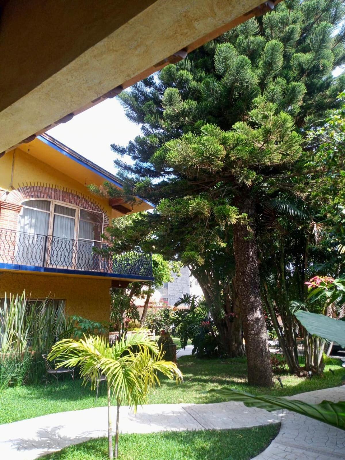 Casa Calnacazco Daire Tepoztlán Dış mekan fotoğraf